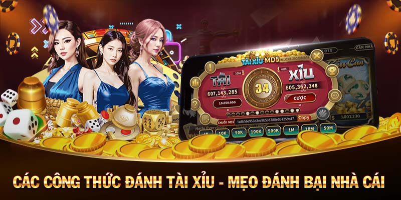 Trang Cá Độ Bóng Đá An Toàn Đáng Tin - Uy Tín Lâu Năm